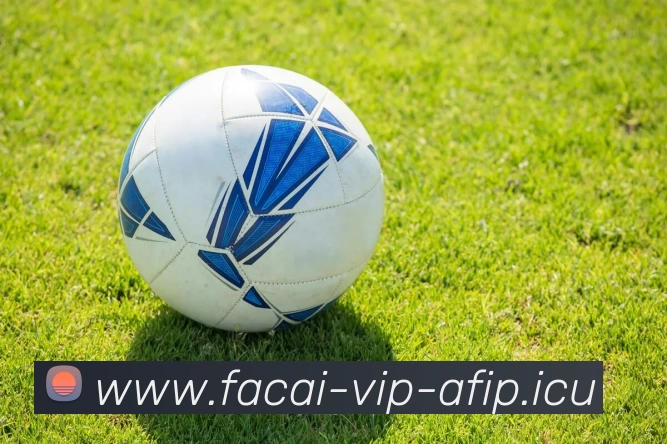 乐鱼体育注册平台生态图